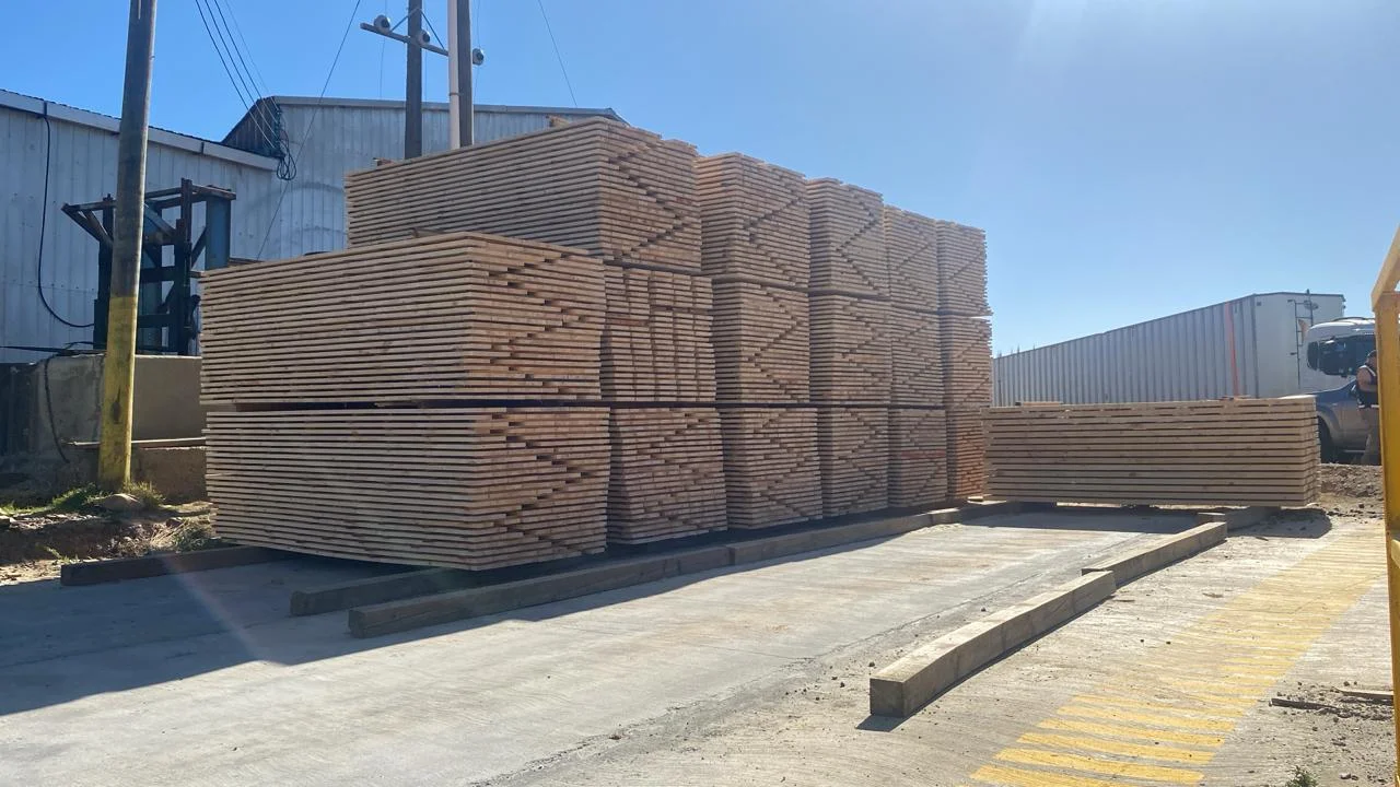 Galería Opazo 7