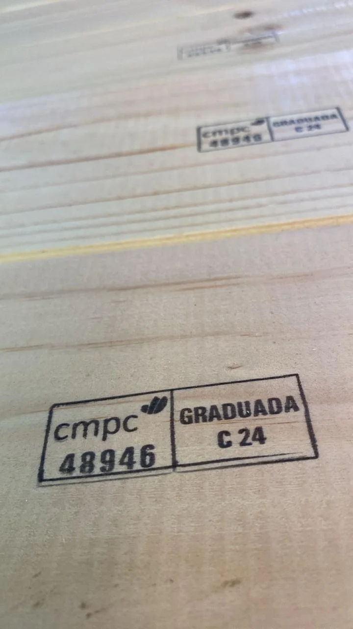 Madera 6